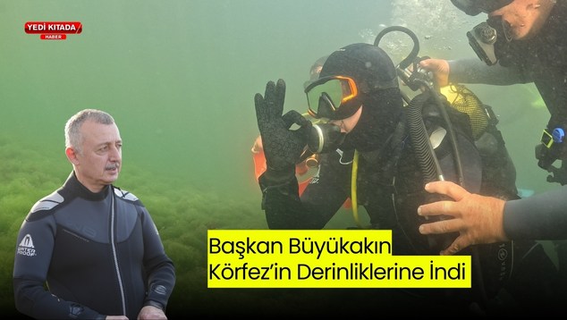 AW586656_01