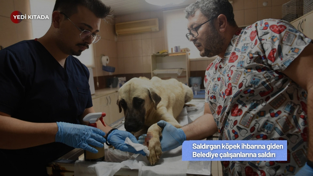 Kırmızı Modern Kültür ve Sanat Haber Manşeti Youtube Küçük Resmi