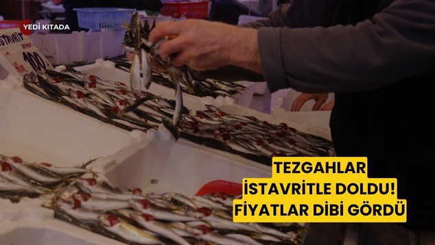 Lacivert Turkuaz Beyaz Modern Özel Okul Kolej Tanıtımı Müşteri Sunum