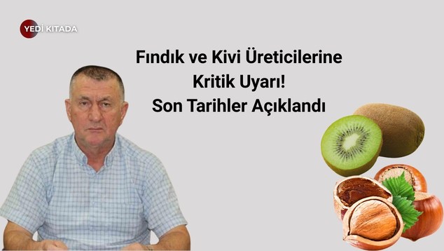 Lacivert Turkuaz Beyaz Modern Özel Okul Kolej Tanıtımı Müşteri Sunum