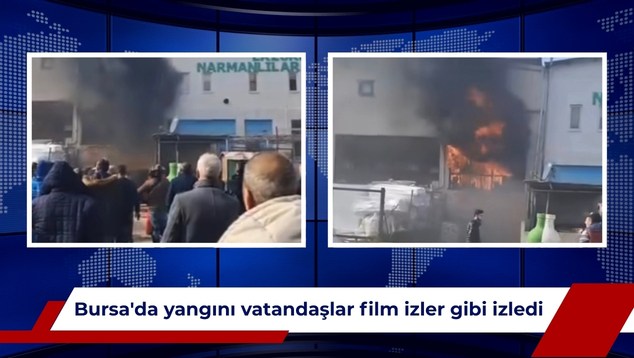 Red White and Blue Modern News Broadcast Video