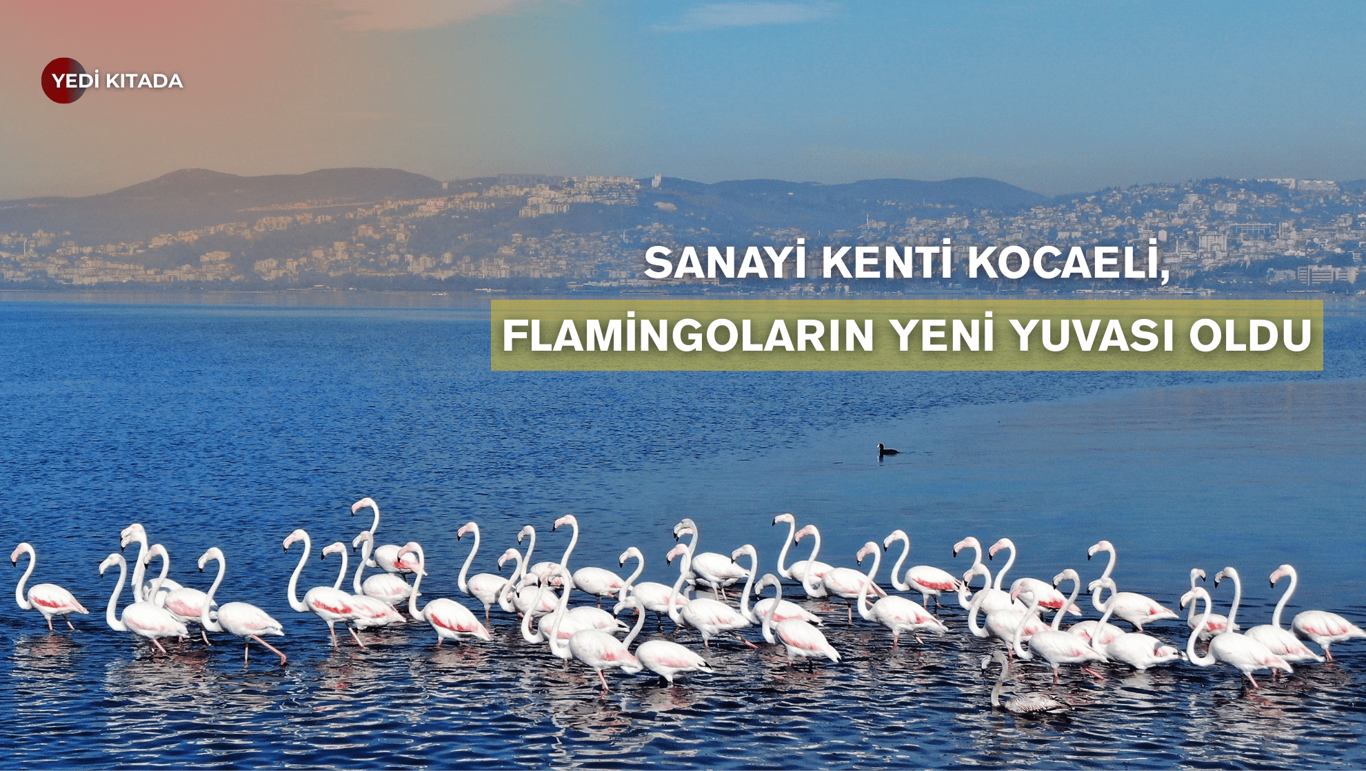 gülten abla diploma yerine bu