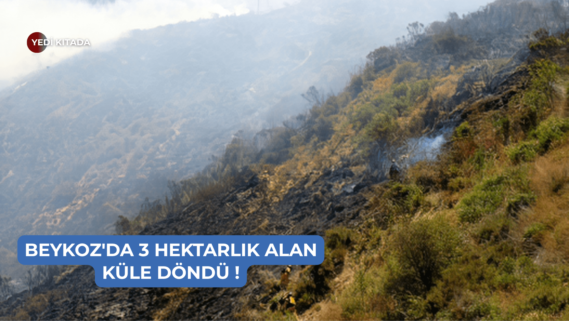 Lacivert Turkuaz Beyaz Modern Özel Okul Kolej Tanıtımı Müşteri Sunum