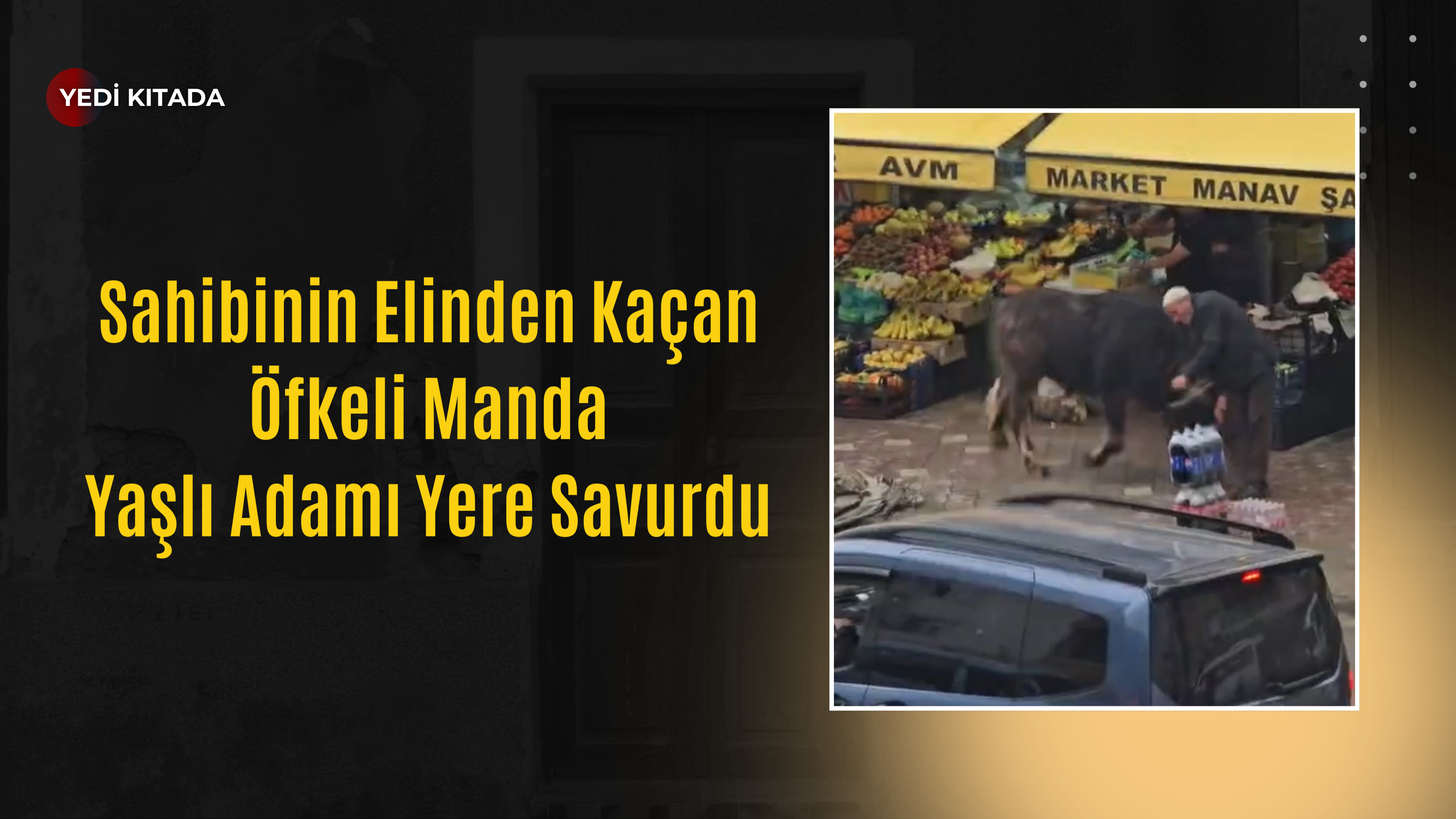 Sahibinin Elinden Kaçan Öfkeli Manda Yaşlı Adamı Yere Savurdu