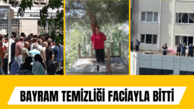 ğğğ