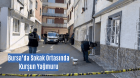 ı