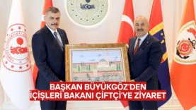 şablon
