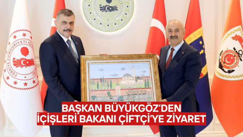 şablon