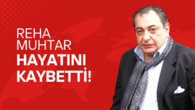şablon