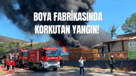 araba videosu