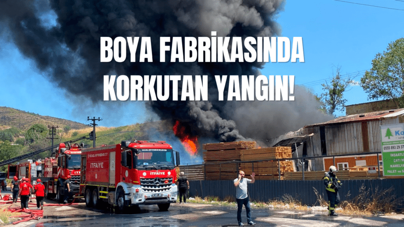araba videosu