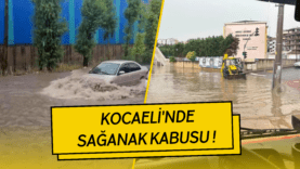 ğğ