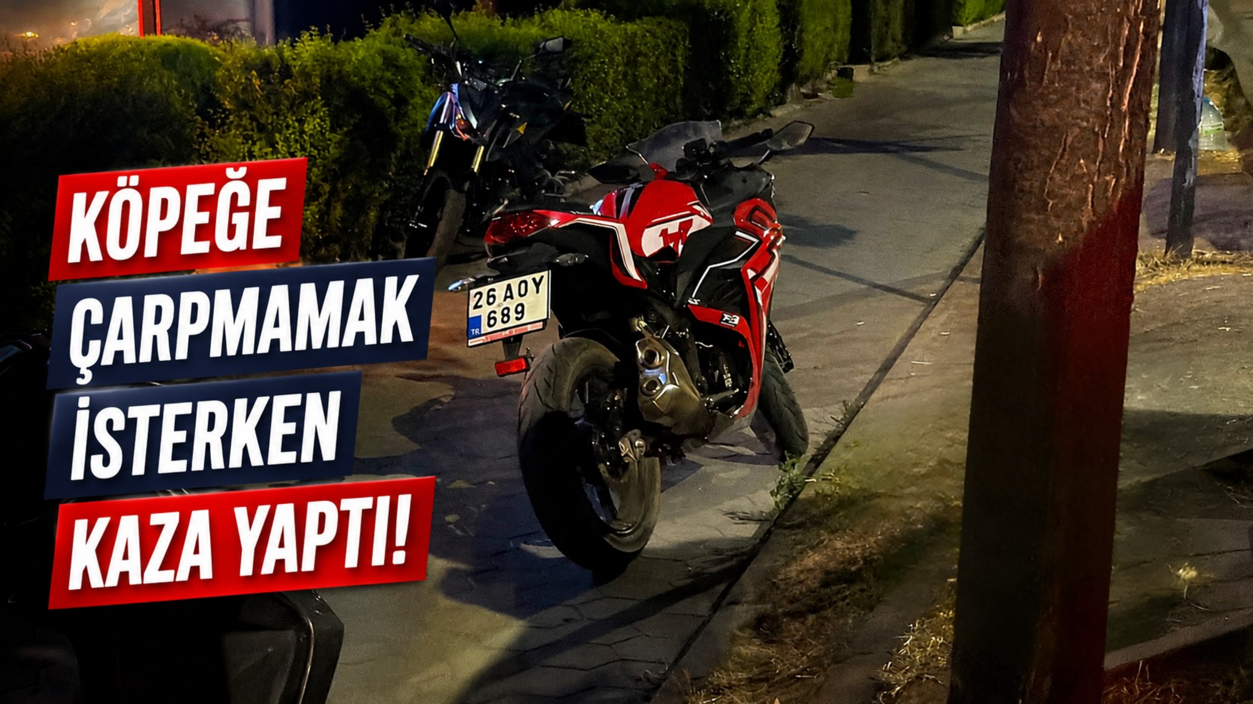 Köpeğe Çarpmamak İsterken Kaza Yaptı!