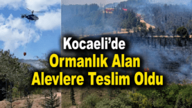 ChatGPT Image 15 Ağu 2026 16_21_17