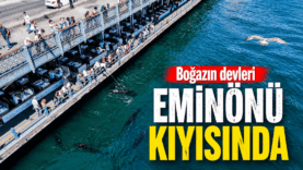 ChatGPT Image 23 Ağu 2026 10_49_28