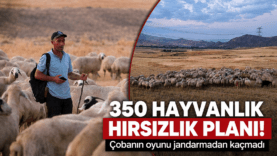 ChatGPT Image 8 Ağu 2026 10_25_45