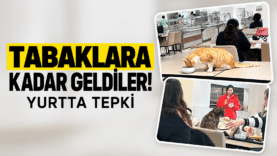 ChatGPT Görseli 29 Eyl 2026 12_02_16