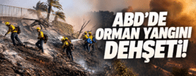 ABD’de Orman Yangını Dehşeti