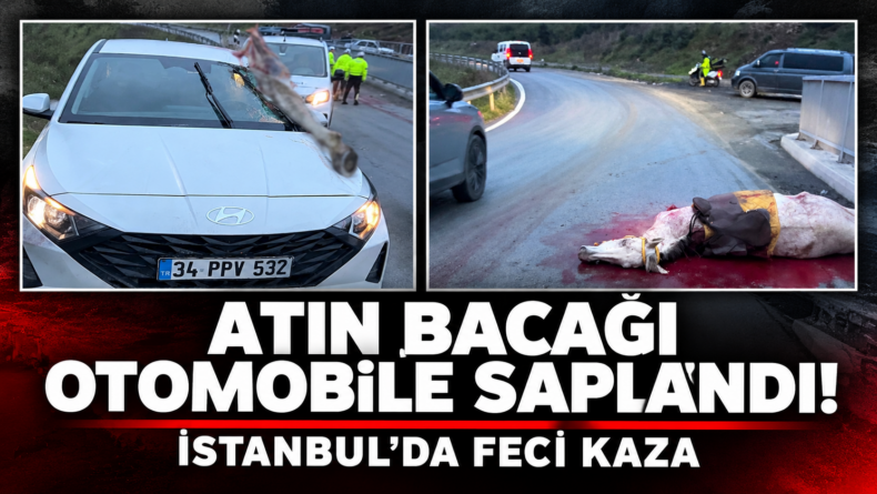 Korkunç Kaza: Atın Bacağı Otomobile Saplandı!