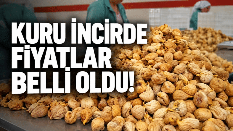 Kuru İncirde Fiyatlar Belli Oldu!