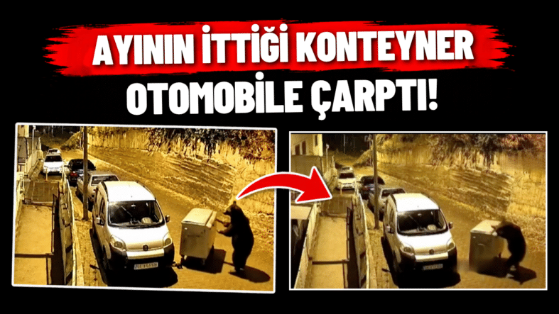 Mavi ve Yeşil Minimalist Yavaş Yaşam YouTube Küçük Resmi