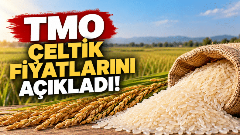TMO Çeltik Fiyatlarını Açıkladı!
