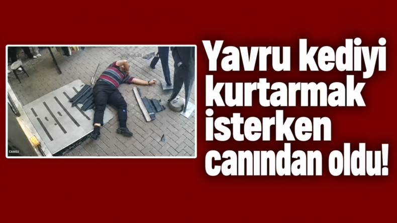 Yavru Kediyi Kurtarmak İsterken Canından Oldu!