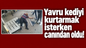 Yavru Kediyi Kurtaranın Dramı